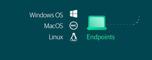 Endpoints